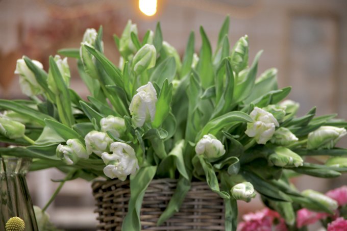 Un air de printemps photo 18